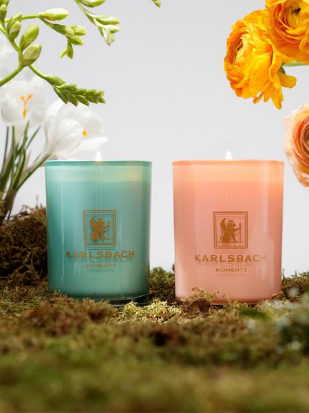 Cactus - GLASS CANDLE 270g