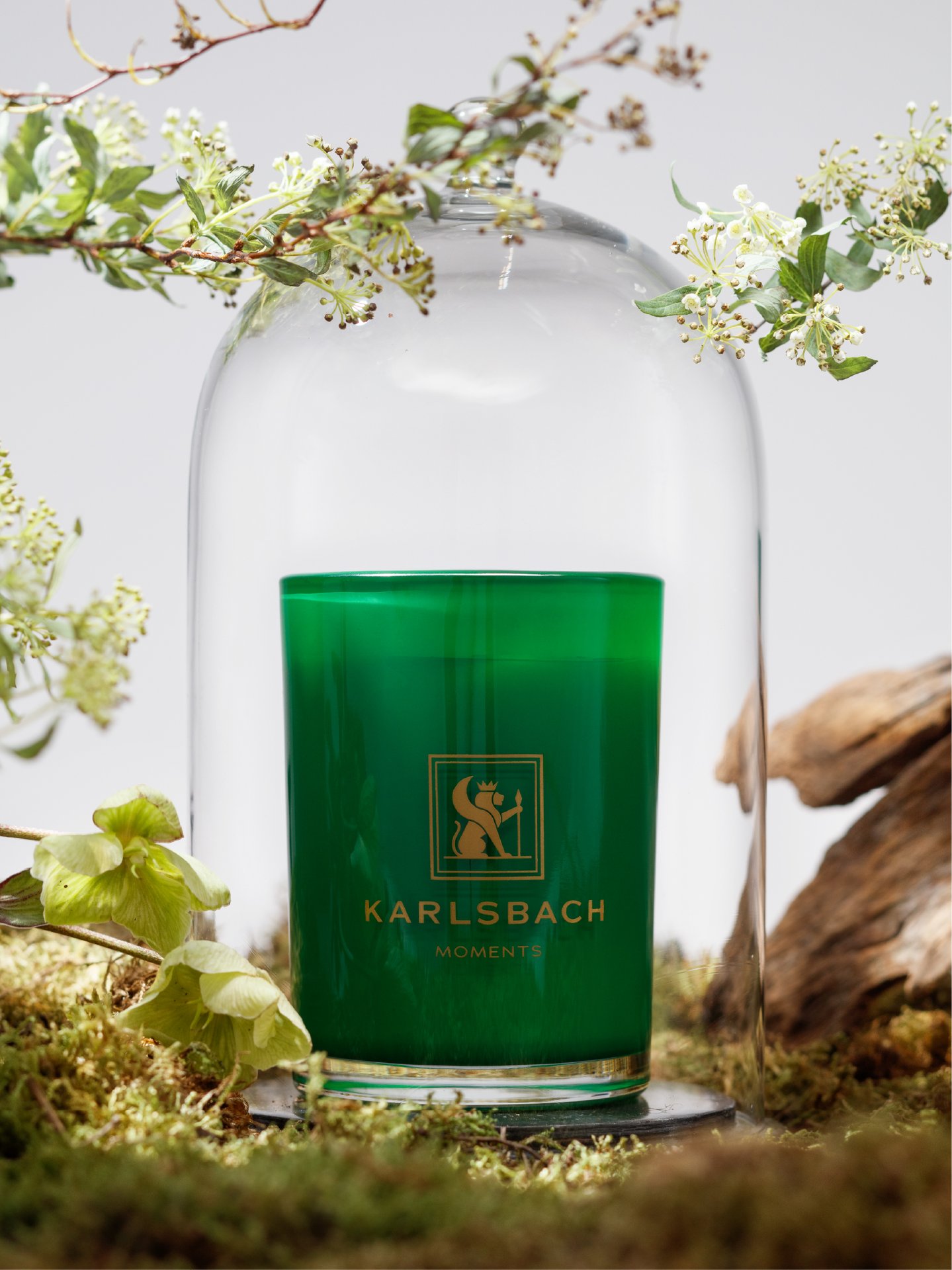Green Branches Magnolia - GLASS CANDLE 270g - изображение 2